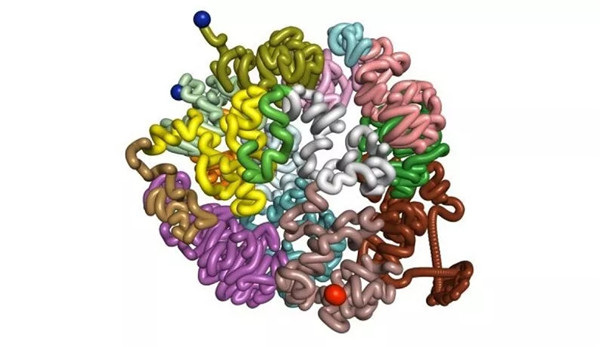 12.webp.jpg